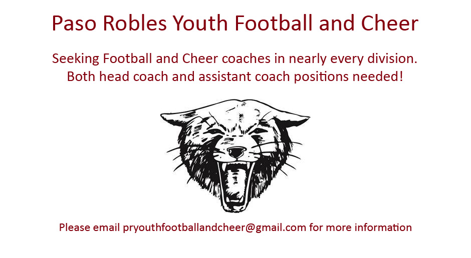youth football positions